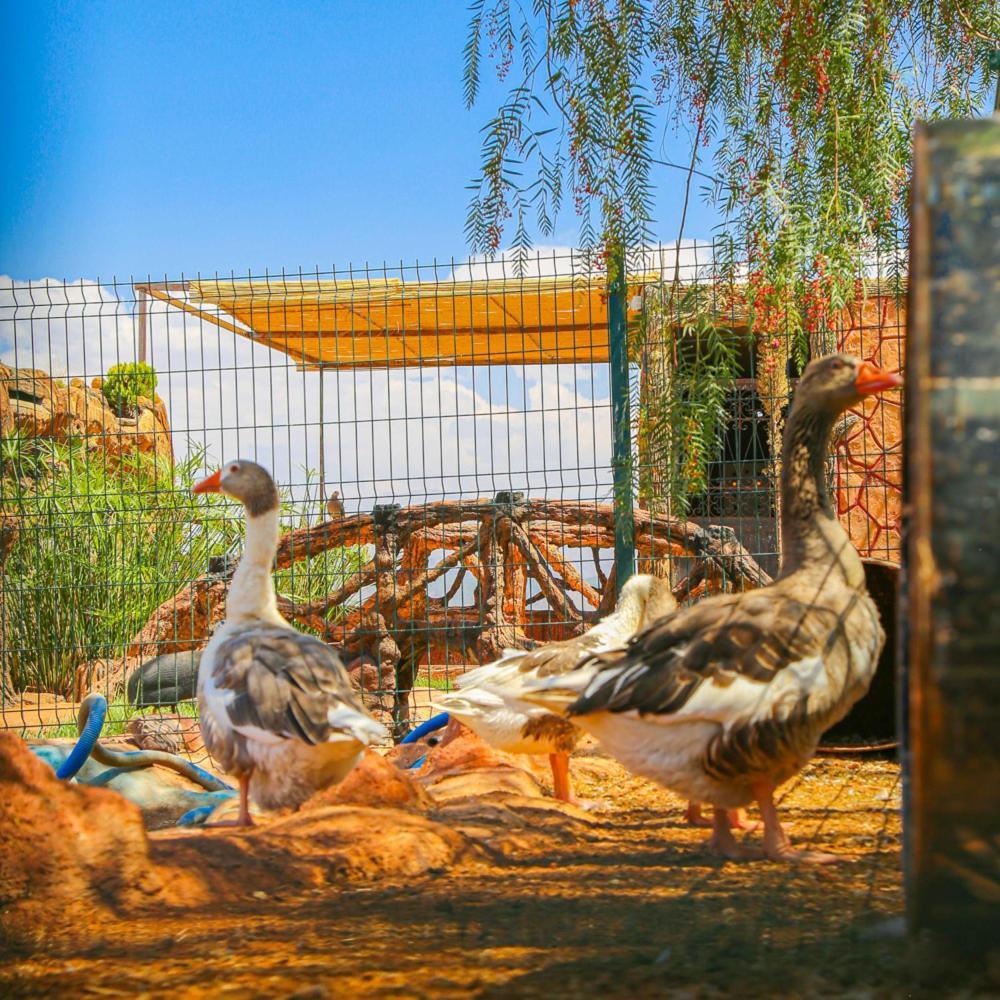 Hotel Jnane Riad Douar Akkara Buitenkant foto